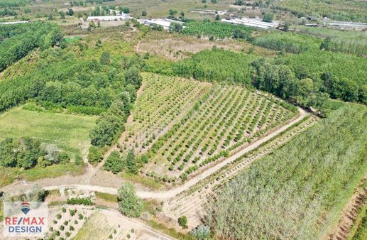 Remax Design Hendek Sivritepe'de 13.635m2 Çiftlik Ruhsatlı Arazi