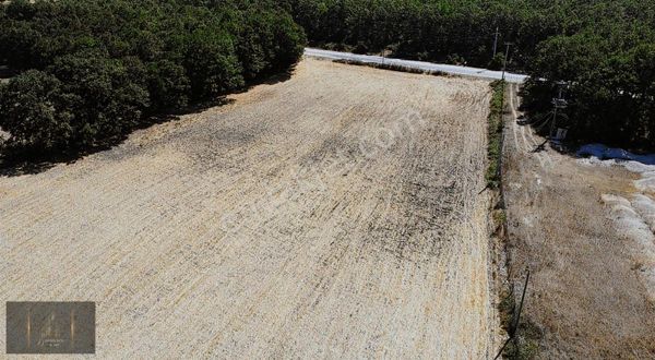 Bursa Kemalpaşa Da Satılık Yatırımlık 22730 M2 Tarla