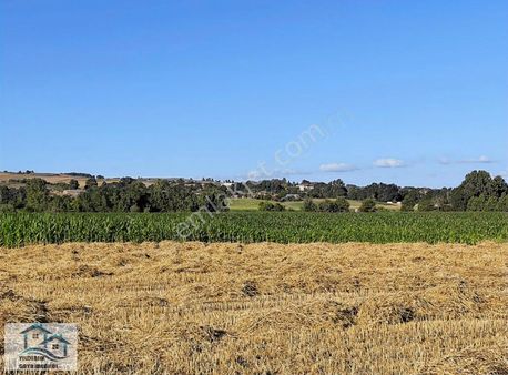 Körfez Himmeti Köyünde Köşe Başı 318 M2 Tarla