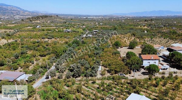 Armutlu Hürriyet'te Satılık 2.848 M2 Bağ - Bahçe