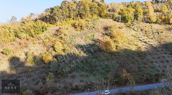 Trabzon Deniz Manzaralı 2470 M2 Fırsat Arsa Mersin Mahallesi