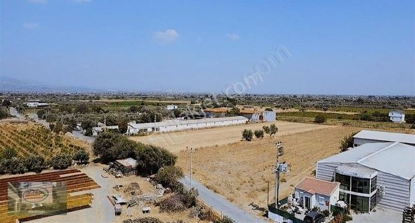 Akman Gayrimenkulden Evranos Mh Satılık 6200m2 Satılık Zeytinlik