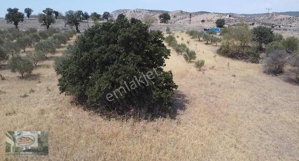 Akman Gayrimenkul'den Gülbahçe Mh Satılık 4350 M2 Arazi