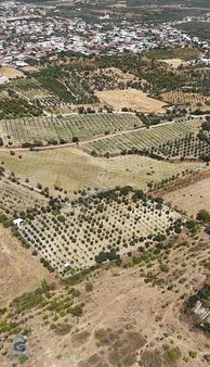 Sancaklı Bozköy'de 10 Dönüm Elektrik Suyu Mevcut Meyve Bahçesi