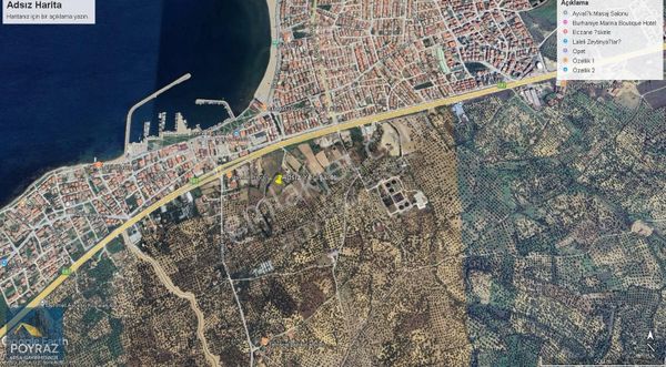 Poyraz Dan Burhanıye Taylıeli De Arsa Kıvamında Zeytinlik