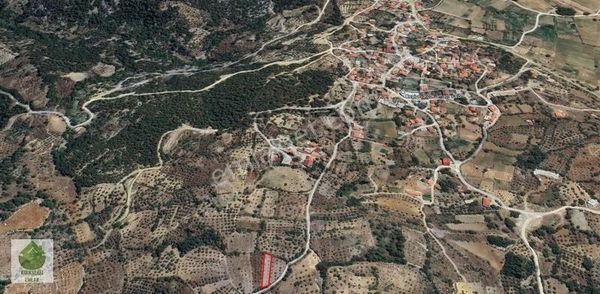 Muğla, Menteşe, Denizova'da 509 M² Satılık Zeytinli Tarla...