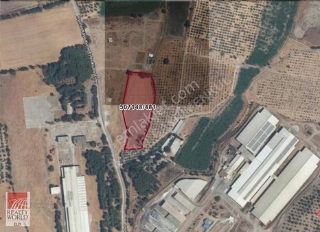 Foça Ilıpınar'da Yatırımlık Tarla