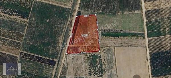 Sungurpaşa'da Soğuksu Osb'ye Yakın Yatırımlık Fırsat Tarla