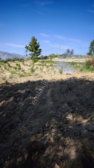 Sorkun Sözen Park Tarafında Villa Arsası