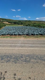 Mavi Göl Emlak Dan ,mahmudiye Ana Yol Üstü 1638 M2 Caddeye Cephe Suyu Başında Boş Tarla