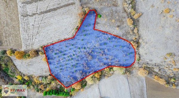 Re/max Mid Kürse Mahallesinde Satılık 5.606 M2 Tarla