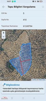 Balıkesir Havran Çamdibi Satılık Tarla