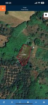 Asrın Emlak’tan Balıkesir Erdek’te Satılık 743 Mt Bağ-bahçe