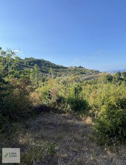 Emlak Sanatı | Bu Manzara Ömrünüzü Uzatır