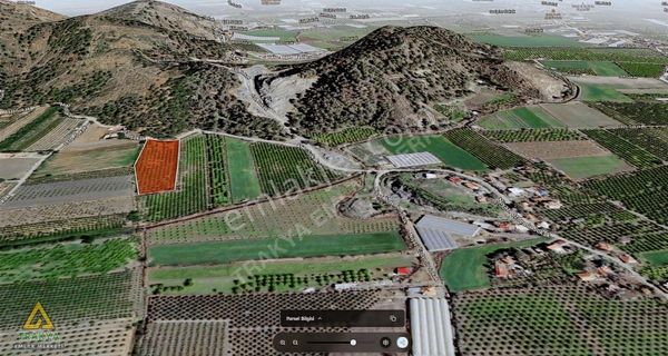 Muğla Ortaca Yeşilyurt'ta 9889 M2 Müstakil Tapulu Limon Bahçesi