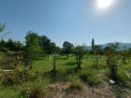 Ortaca Kemaliye’de 2.500 M² Müstakil Tapulu Yatırımlık Arazi Satılık