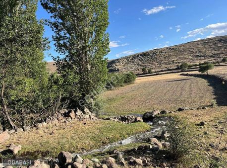 Taşlıcada 1.500 M2 Elma Bahçesi