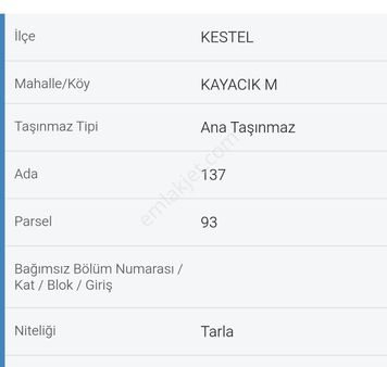 Bursa Kestel Kayacık Mahallesi