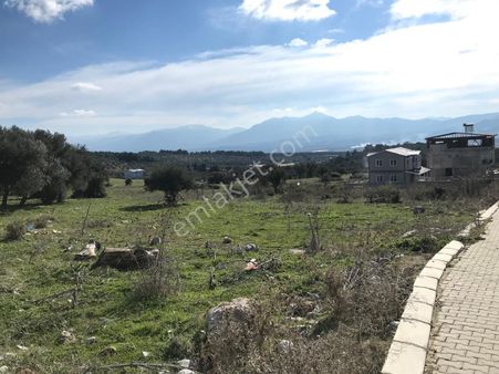 İzmir Zirve’den Kemalpaşa’da Satılık 388 M2 Arsa