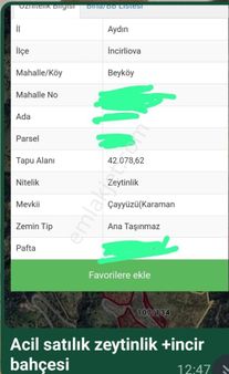 Aydın İncirliova Beyköy Mah.satılık Zeytinlik