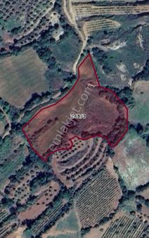 Salihli Yağmurlar Köyünde Satılık Tarla