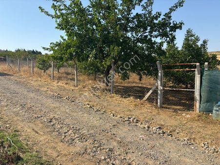 Goldhouse Dan Satılık Tekirdağ Merkez De Konut İmarlı Arsa
