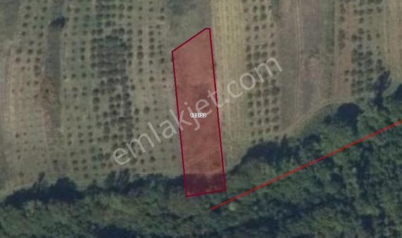 Dalca’da Resmi Yola 20 Metre Cephe 1412 M2 Fırsat Arazi