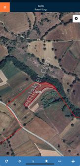 Kavak Muhsinli 4.032 M2 Tarla