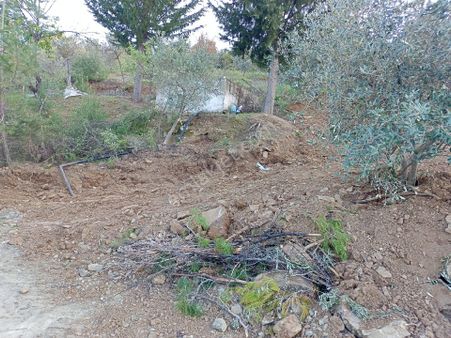 Elcik Mahallesinde Satılık 6575 M2