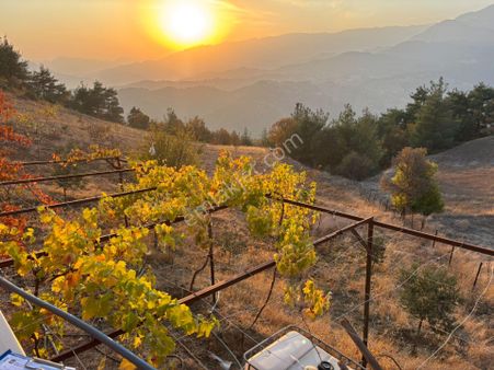 Cb'den Tek Tapu (7.591m2) Doğa Manzaralı Satılık Bağevi Ve Bahçe