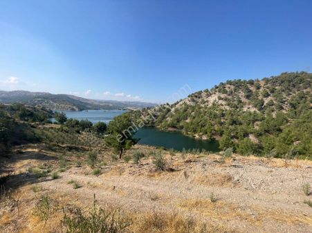 Cb'den Kılavuzlu Ana Caddesinde Satılık Tarla