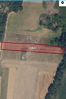 📢📢aygül'den (2.350.000)bursa İnegöl Kozluca Yolu 3.050 M2 Satılık Tarla