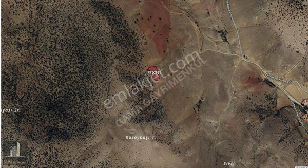 Gama Gayrimenkul'den Emirdağ'da Orman Cepheli Yatırımlık Tarla