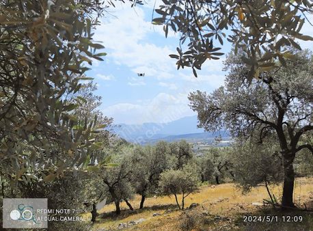 Sedir'den Manzaralı 6.900 M2 Satılık Parsel