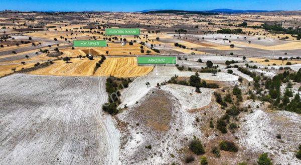 Kütahya Merkez Kükürt Köyü Müstakil Tapulu 2.239 M² Arazi