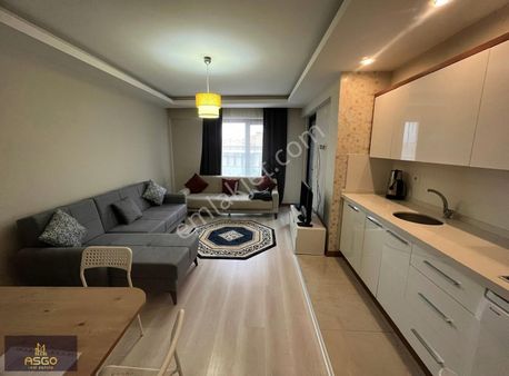 Asgo Dan Paşakent Te Lüks Eşyalı 1+1 Kiralık Daire