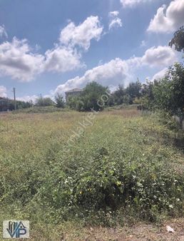 Bafra Vıp Gayrimenkulden Fevziçakmak Mah'de 289m2 Satılık Arsa