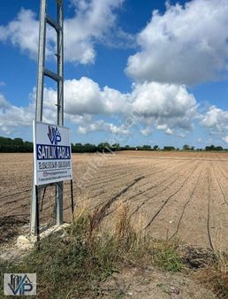 Bafra Vıp Gayrimenkulden Türbe Mah'de Fırsat 15.500m2 Tarla