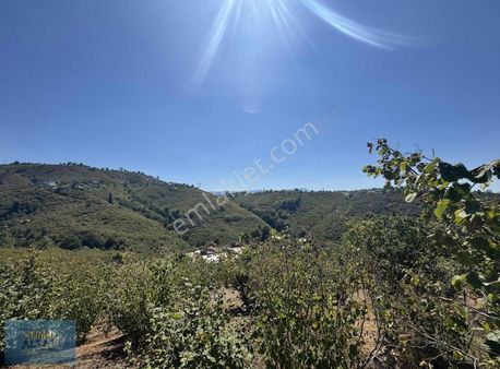 Güzlek Mah. 1071m2 İmarlı Manzaralı Arsa