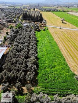 Milas Bahçeyeni'de Ticari Turizm Belgeli Satılık 4586 Mt2 Tarla