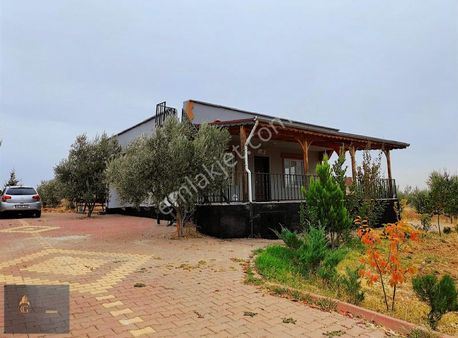 Cennet Gyodan Zeytinlide Satlık 2000m Merkeze Yakın Fırsatbağevi