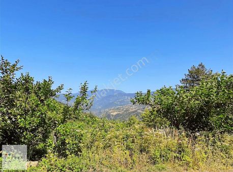 Başiskele Servetiye Karşı Mah. 30833 M2 Satılık Tarla