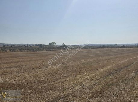 Vıze Evrenlıde 309 M2 Asfalta Yakın Konumda Hisseli Parsel