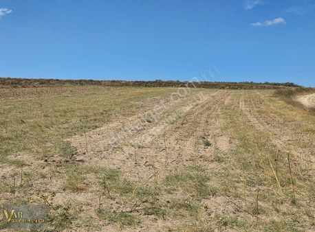 Kapaklı Karlı'da Kadastro Yola Cephe 4 Dönüm Tek Tapu Tarla