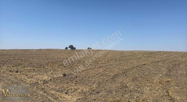 Kapaklı Uzunhacı'da 3.500m2 Tek Tapu Kupon Tarla