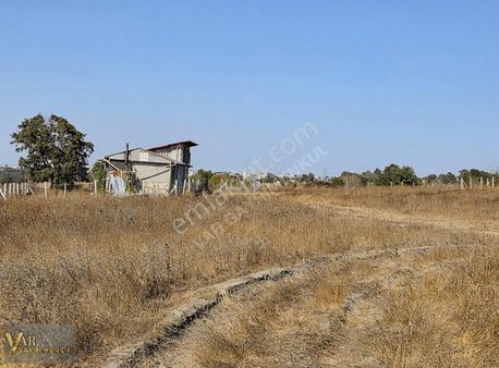 Saray Büyükyoncalı'da 217m2 İmarlı İfrazlı Kupon Arsa