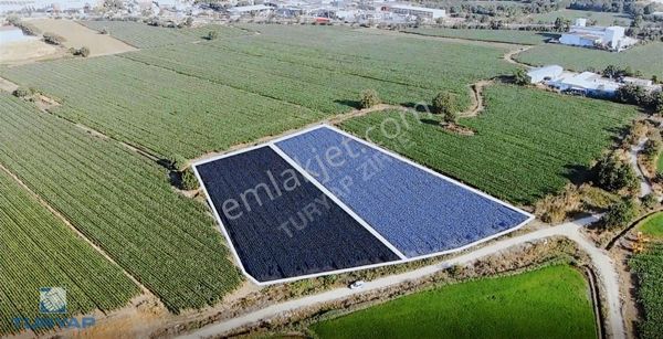 Çanakkale Biga Hamdibey Mahallesinde Firsat Kupon Tarla!!