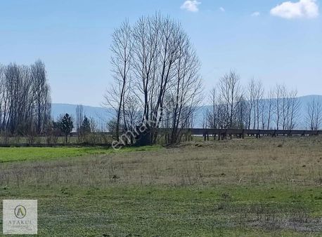 Atakul Gayrimenkul-kütahya Çavdarhisar'da 5 Dönüm Sulak Arazi