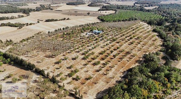 Edirne-keşan-yeşilköy Devren Satılık 67.500 M2 Fidanlık