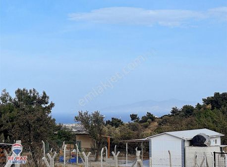 Foça Yeniköy'de Deniz Manzaralı Tarla